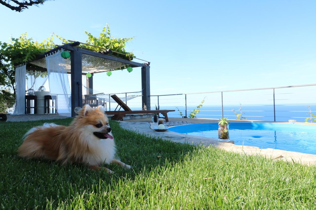 Fakistra'S Blue House Villa ซาการาดา ภายนอก รูปภาพ